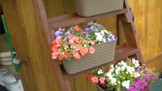 Dacha Update for August 2019 смотреть онлайн