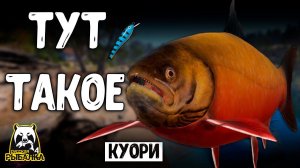RF4 ПРОСТО ВЫШЕЛ НА ТРОЛЛИНГ А ТУТ ВОТ ТАК #рр4