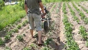 дисковый окучник с мотоблоком фаворит