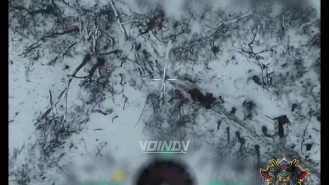Скромные новогодние подарунки от ВКС 11 армии и 36 Бр Нерв.