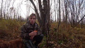 ОСЕННЯЯ ОХОТА НА ВАЛЬДШНЕПА 2020: ГДЕ ТЫ, ВАЛЯ?!!!