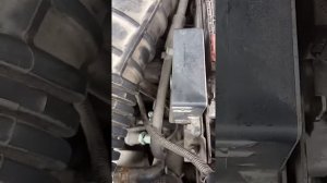 SsangYong New Actyon 149л.с, ДТ, 2011г.в промывка топливных форсунок средством ЛАВР