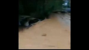 Очередное наводнение в Китае. г. Лючжоу, Гуанси-Чжуанский автономный район