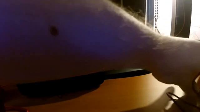 Обзор микрофона Rock K1 Karaoke microphone смотреть онлайн