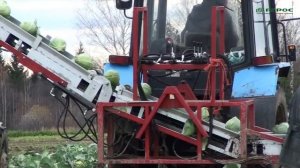 Транспортер капустоуборочный