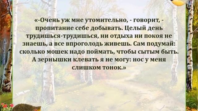 Познавательная викторина "Книга нам откроет дверь в мир растений и зверей".