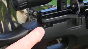 FIRST LOOK: FX Independence air rifle PCP