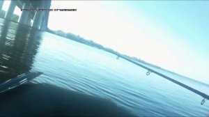 Ловля селедки и окуня на дорожку из кембриков. 2018