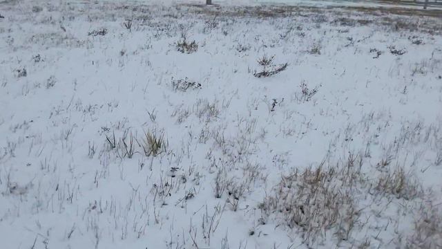 Вторым днем зима смотреть онлайн