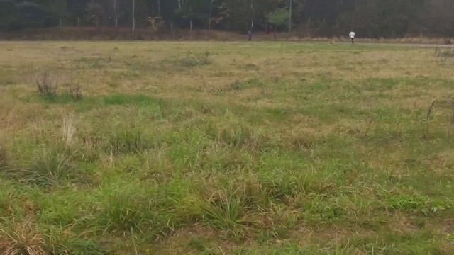 Заброшенный стадион Элион Зеленоград смотреть онлайн