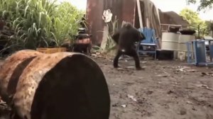 Ержан вставай на работу пора(подборка)