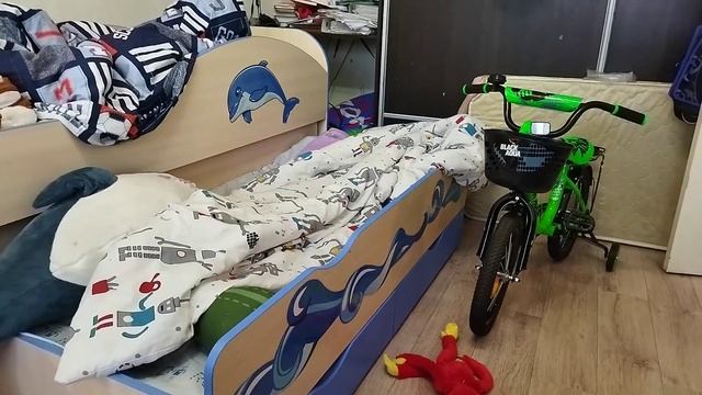 День рождения сына/покупки на 210000 руб/первая покупка для строительства дома