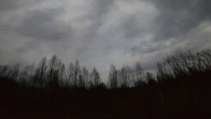 весенняя охота на вальдшнепа 02 04 2020.