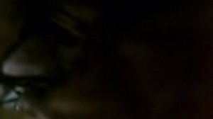 Барселона. Достопримечательности города. Путешествие в Барселону.