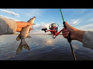 ЛОВЛЯ ХИЩНИКА НА ЛАЙТОВЫЙ СПИННИНГ [РЫБАЛКА В ЯКУТИИ]