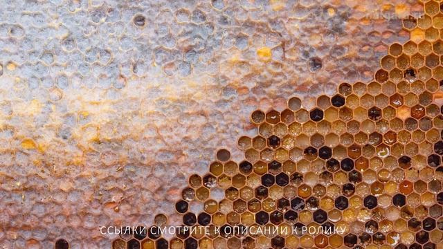 Натуральная еда - это модно и вкусно, это - забота о своём здоровье и здоровье своих близких.