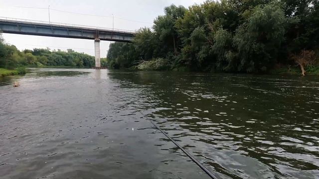 За голавлём на Красивую Мечу с Gamakatsu Luxxe S610UL-solid смотреть онлайн