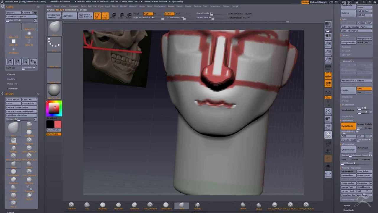 Базовое построение головы в zbrush