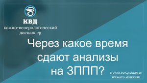 Через какое время сдают анализы на ЗППП?