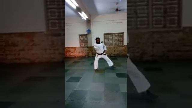 Tekki shodan karate fight