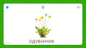 Изучаем цветы, обучающее видео для детей, новые развивающие мультики