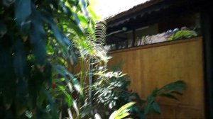 Вьетнам отель Bamboo Village