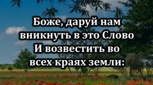 № 27 Библия много света нам открыла | Караоке с голосом | Христианские песни | Гимны надежды