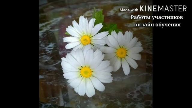 Онлайн обучение "Ромашка Белая" смотреть онлайн