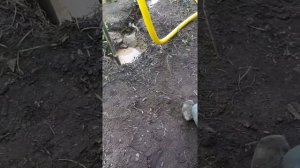 Неудачный опыт ручного гидробурения,глину с камнями не пройти.