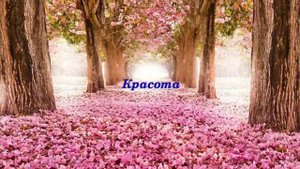 Слова высоких вибраций