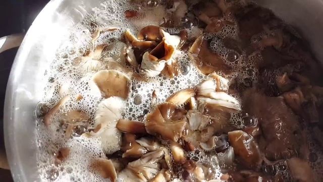 Грибов много не бывает...накатала на всех... смотреть онлайн