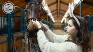 Конные лайфхаки /  Новогодний выпуск