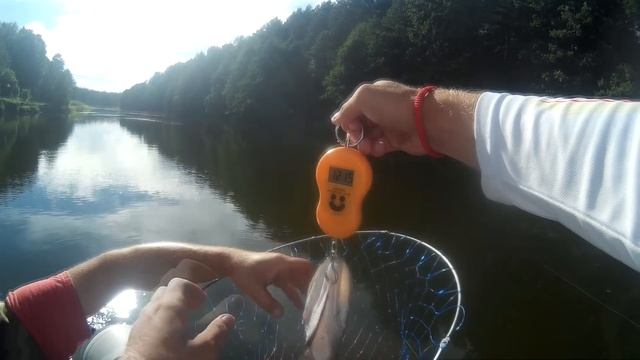 ЛОВЛЯ НА АРБУЗ!! Тестируем новинки воблеров 2018! Ловля щуки на воблеры! смотреть онлайн