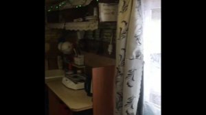 Домик с дровяной баней и прорубью.