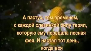 Ромашка Легенды о ромашке
