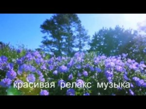 музыка релакс #позитивная красивая #фортепианная музыка