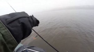 Ловля окуня на отводной поводок с лодки обь 3. Закрытие летнего сезона 2015, клевал ОДИН окунь =)