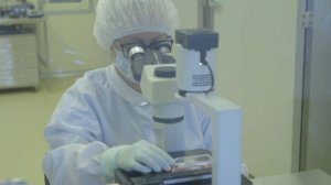 Из России в Аргентину вылетел самолет с вакциной "Спутник V"