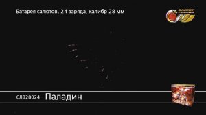СЛ828024 Паладин