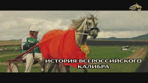 Калибр  - темно серый жеребец орловской рысистой породы рожд. в 2015 г. (Бересклет - Колибри)