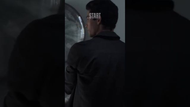 Познакомила с котом | Жить жизнь #shorts