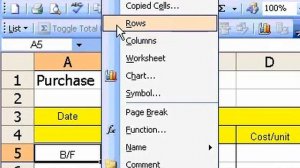 Microsoft Office Excel 2003 Insert a single row