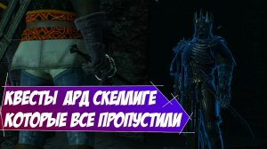 Квесты  Ард Скеллиге которые все пропустили Ведьмак 3 на 100 %