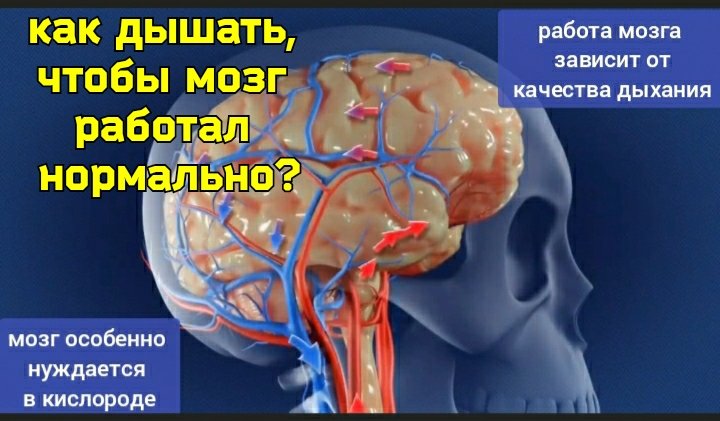 Мозг страдает от дефицита кислорода. Развиваем дыхание, укрепляем межрёберные мышцы