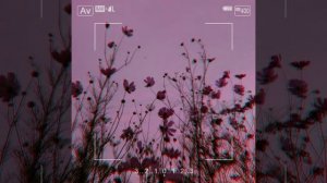 эти роли не для нас slowed