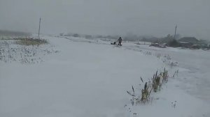 Мотособака (своими руками)