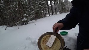 Блины в лесу, окончательно завалило снегом.2 марта 2019.