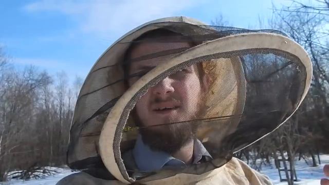 Первый облёт пчёл смотреть онлайн