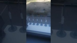Как избавиться от голубей на подоконнике