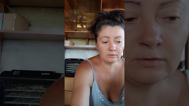 Храм ИСВ, капсулирование и другое.